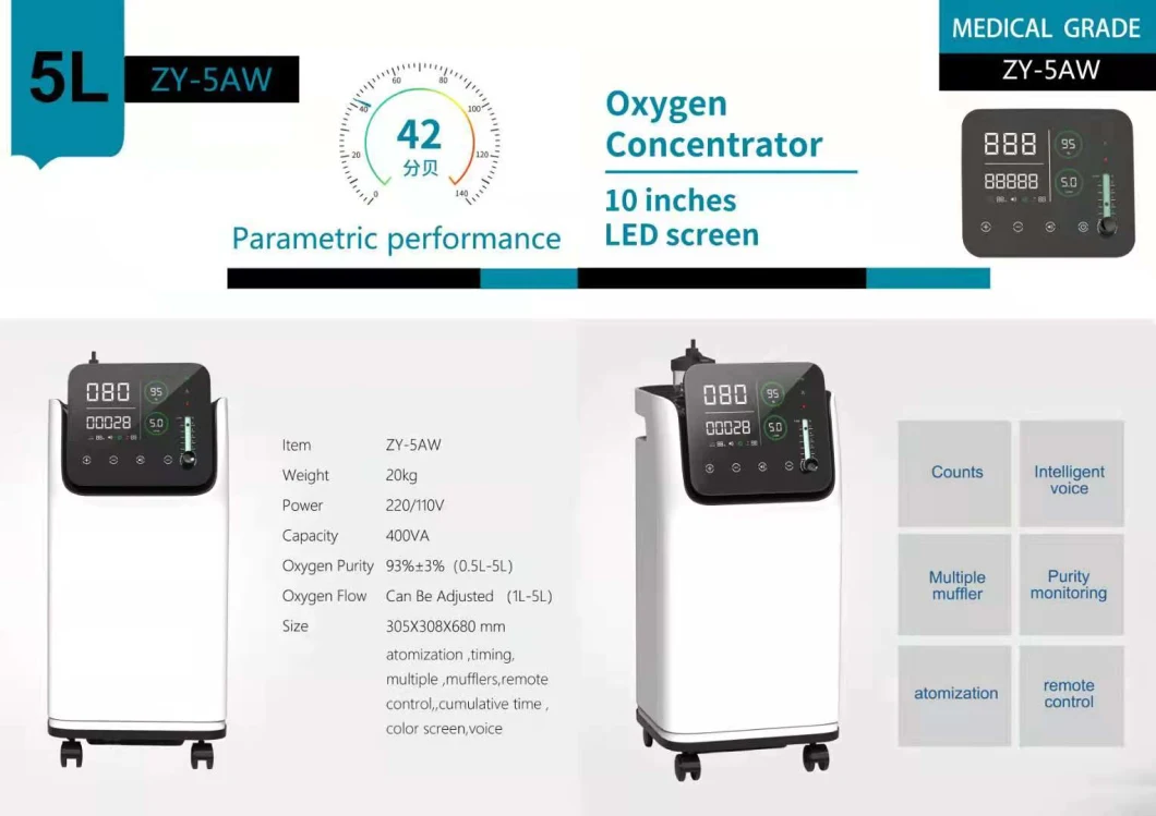 Zy-10aw 10L Oxygen Concentrator Has High Quality Medical Device Household Oxygenarator